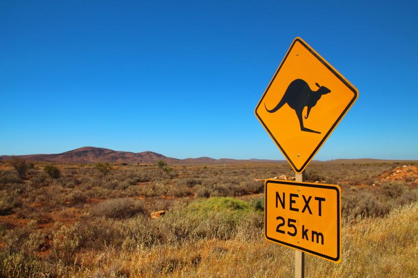 Kangeroo road sign in Australia