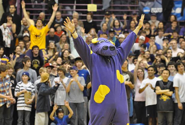 Weirdest US College mascots