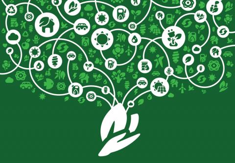 Virtual student fairs reduce carbon footprint