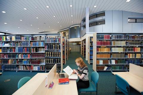 Student studying in the library