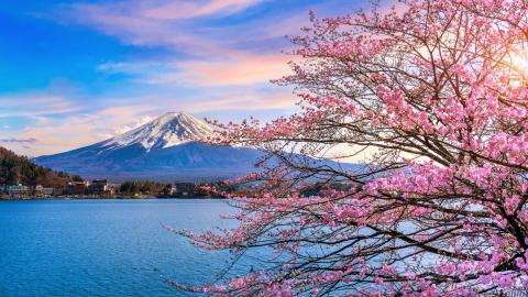 top universities in Japan