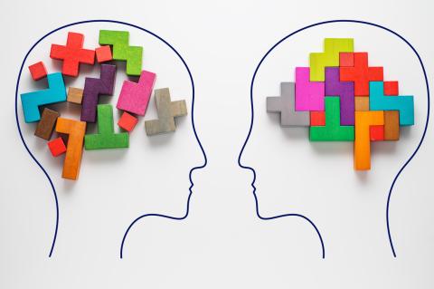What are the social sciences?